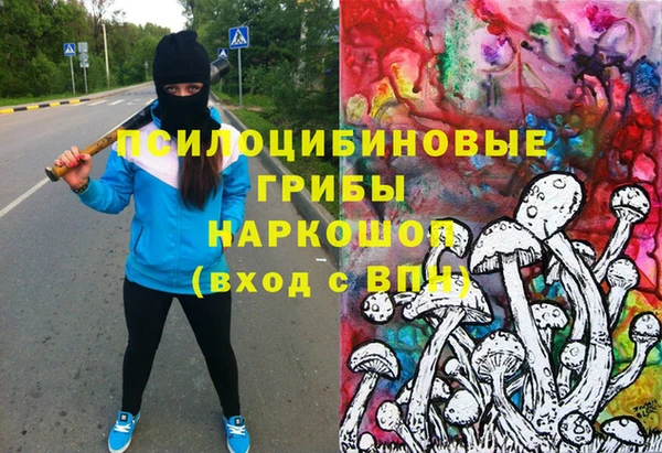стафф Аркадак