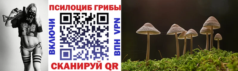 Галлюциногенные грибы GOLDEN TEACHER  Духовщина 